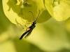 302856 – Photo : Maxime Zucca – France (26)